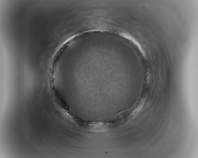 X0000087631352200705101019