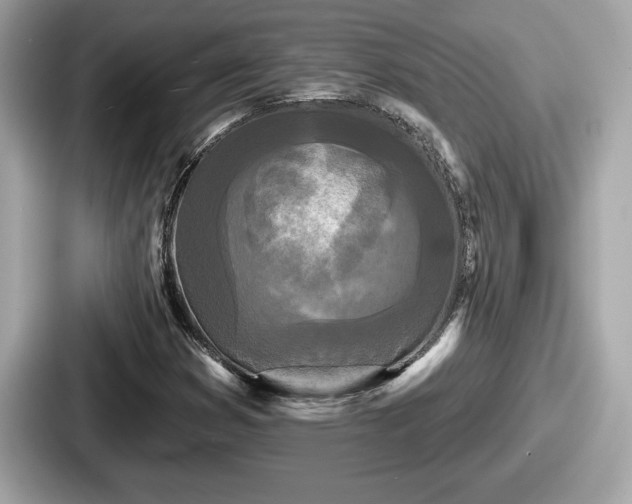 X0000087631353200705101019