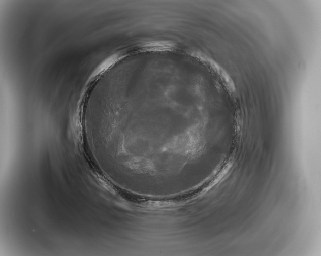 X0000087631354200705101019