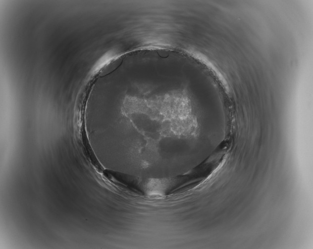 X0000087631355200705101019