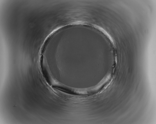 X0000087631356200705101019