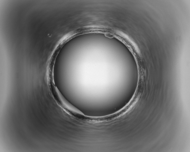 X0000087631357200705101019