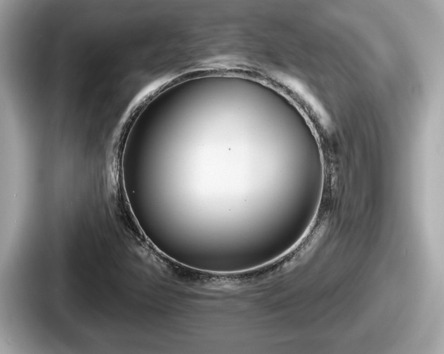 X0000087631358200705101019