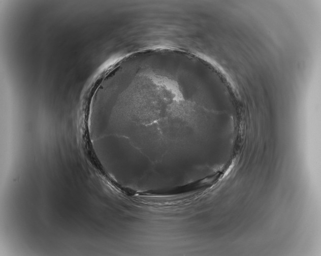 X0000087631359200705101019