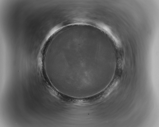 X0000087631360200705101019