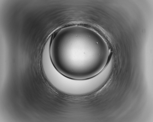 X0000087631361200705101019