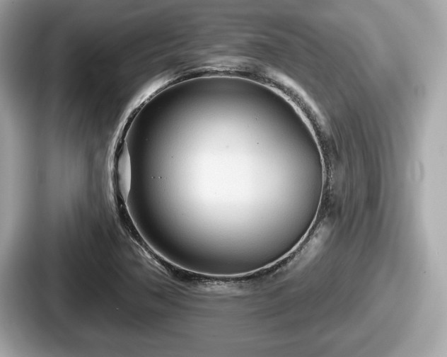 X0000087631362200705101019