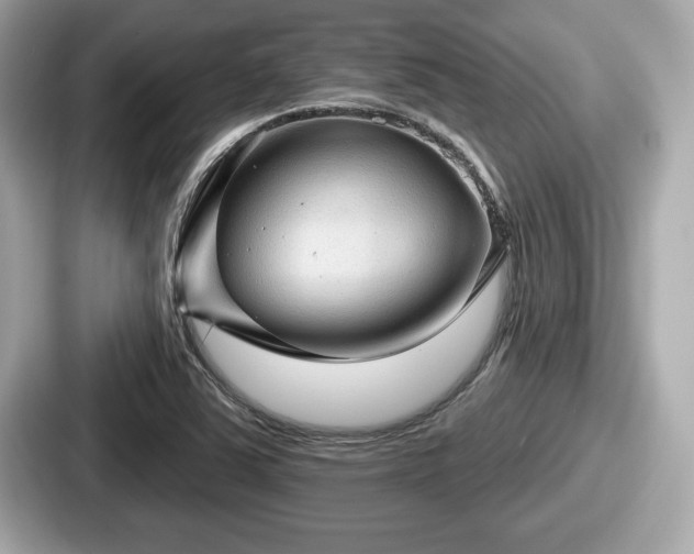 X0000087631363200705101019