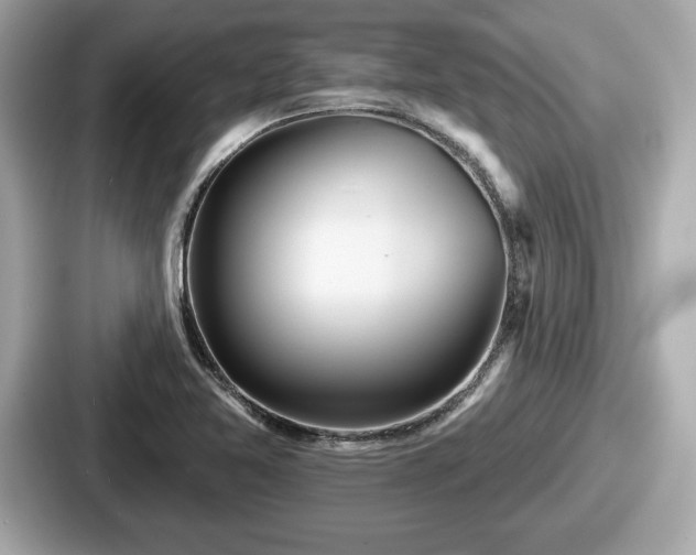 X0000087631365200705101019