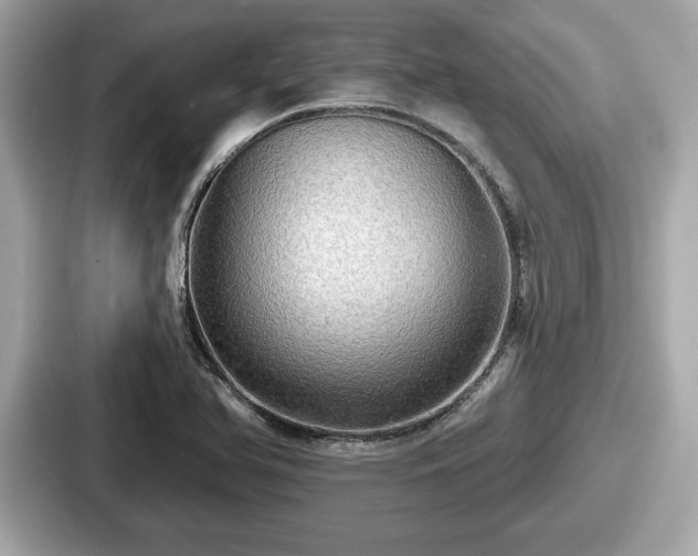 X0000087631366200705101019