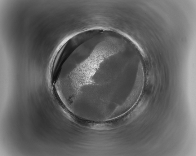 X0000087631367200705101019