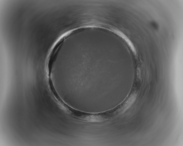 X0000087631368200705101019