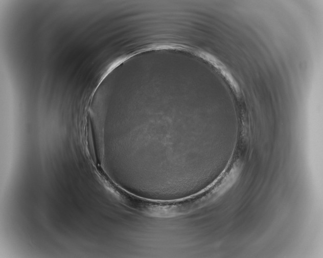 X0000087631369200705101019