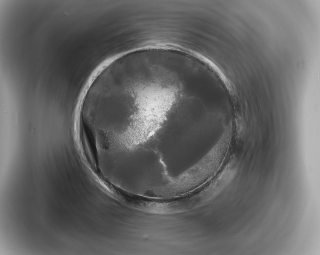 X0000087631371200705101019