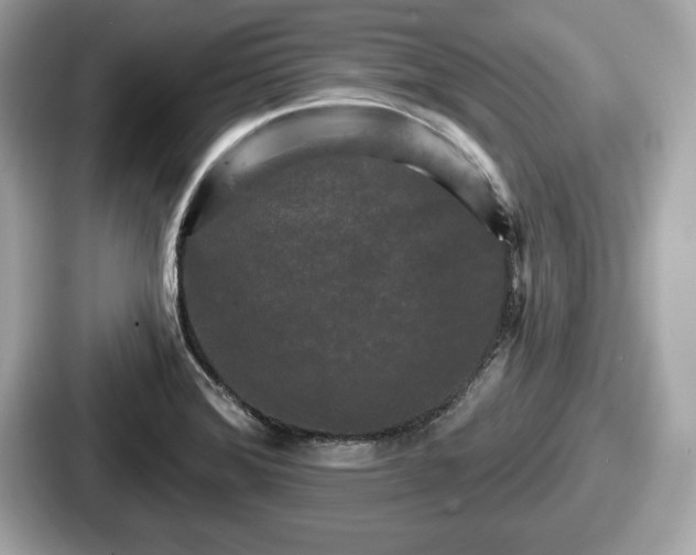 X0000087631372200705101019