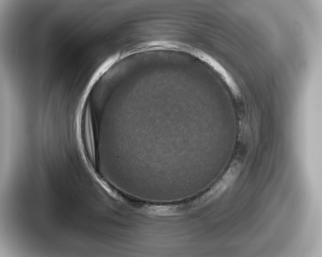 X0000087631373200705101019