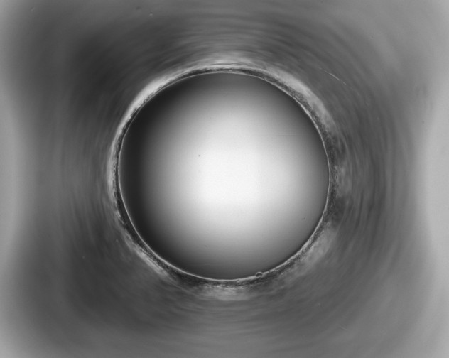 X0000087631374200705101019