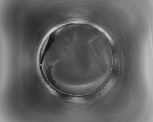 X0000087631375200705101019