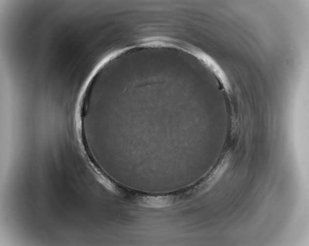 X0000087631376200705101019