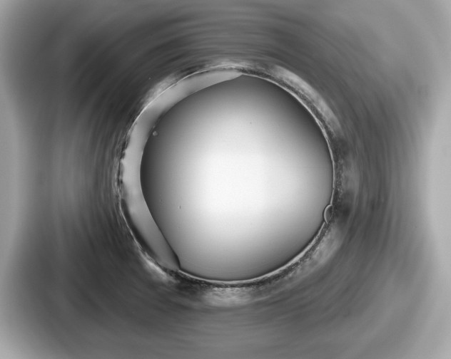 X0000087631377200705101019