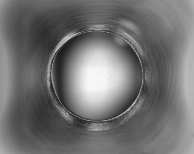 X0000087631378200705101019