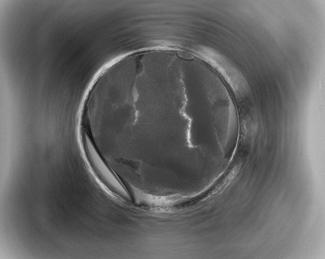 X0000087631379200705101019