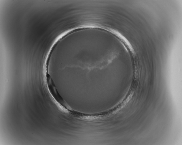 X0000087631380200705101019