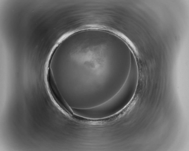 X0000087631381200705101019