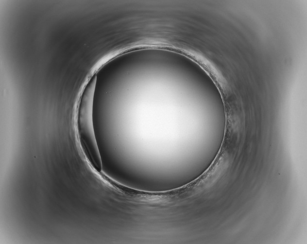 X0000087631382200705101019