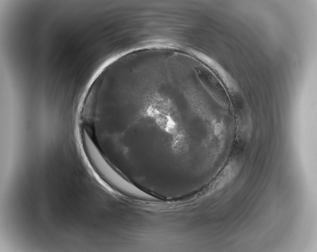 X0000087631383200705101019