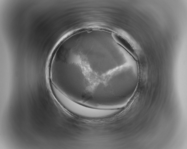 X0000087631384200705101019