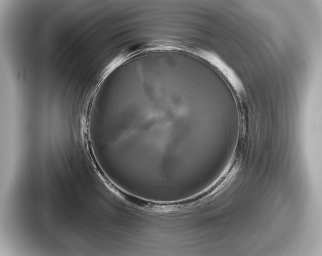 X0000087631385200705101019