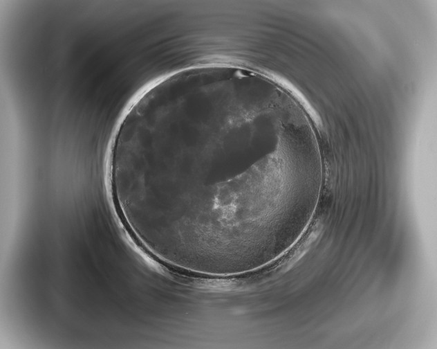 X0000087631387200705101019