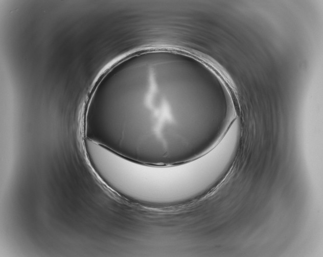 X0000087631388200705101019