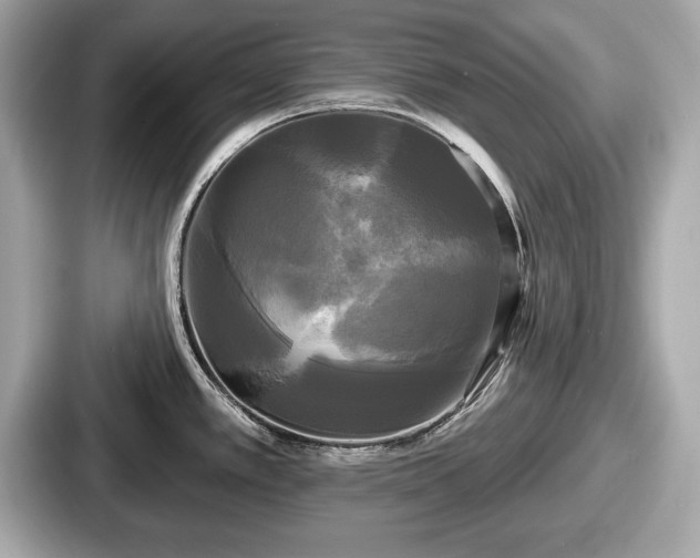 X0000087631389200705101019