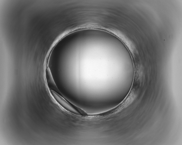 X0000087631390200705101019