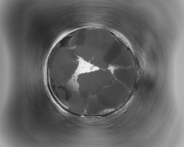 X0000087631391200705101019