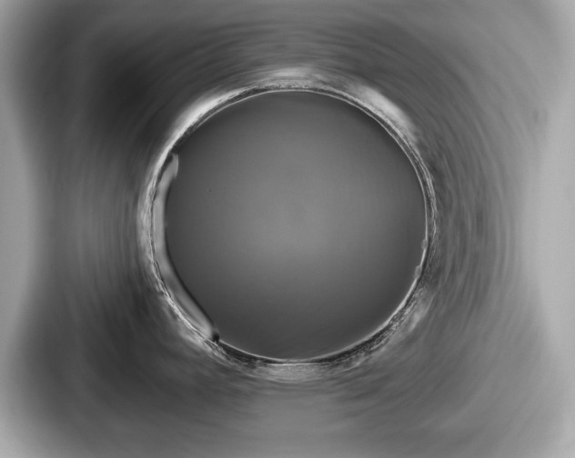 X0000087631392200705101019