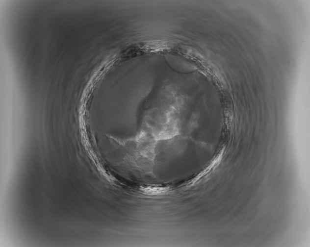 X0000087631393200705101018