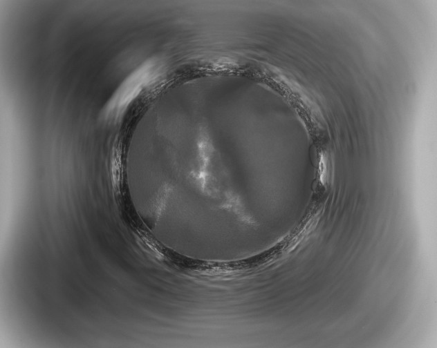 X0000087631395200705101018