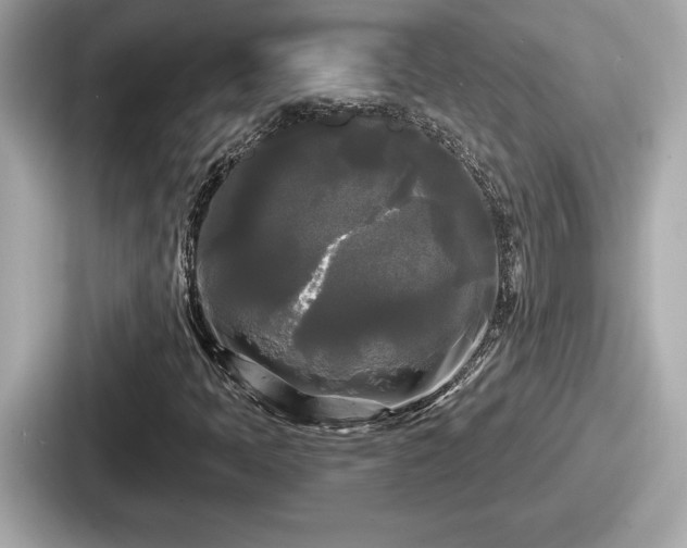 X0000087631397200705101018