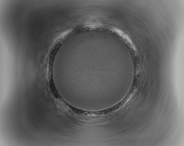 X0000087631398200705101018