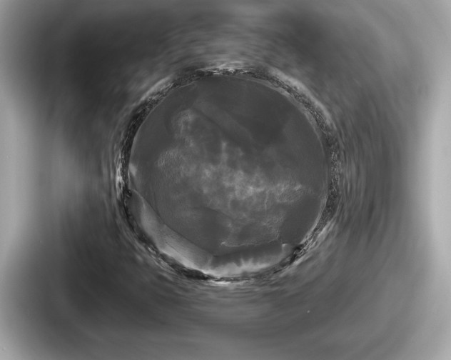 X0000087631399200705101018