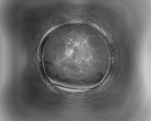 X0000087631400200705101018
