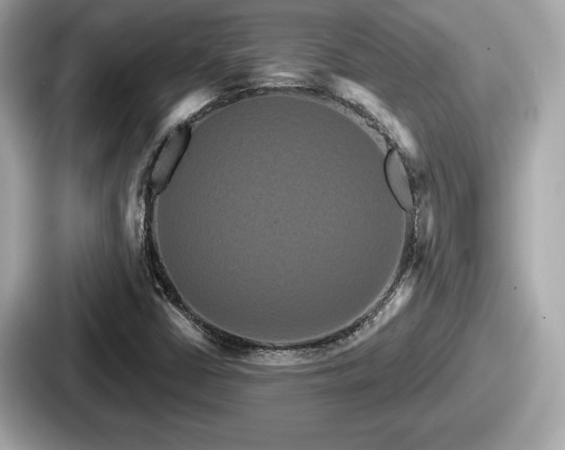 X0000087631402200705101018