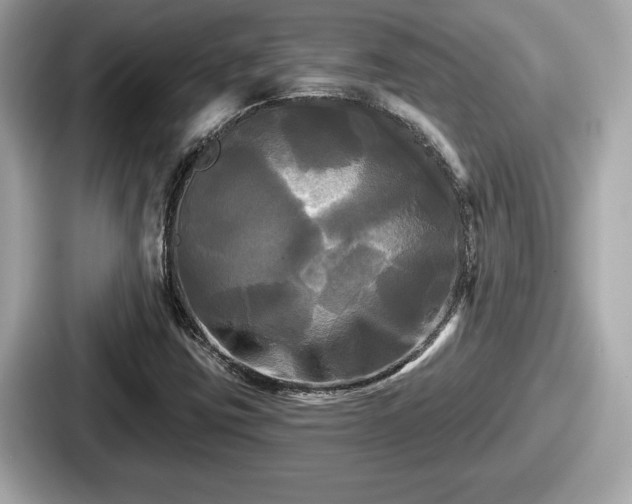 X0000087631403200705101018