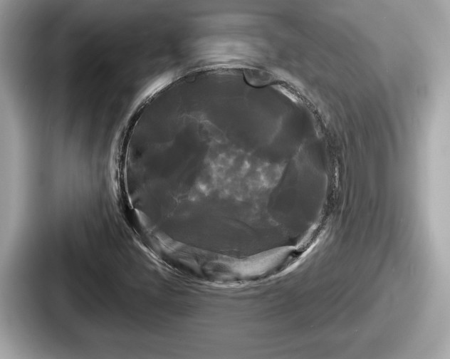 X0000087631405200705101018