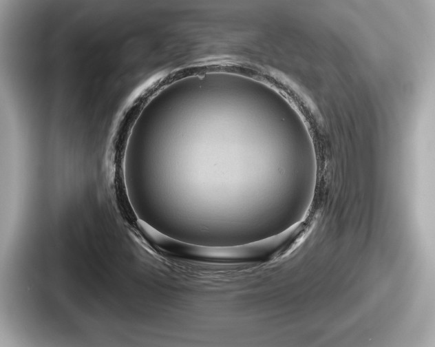 X0000087631406200705101018