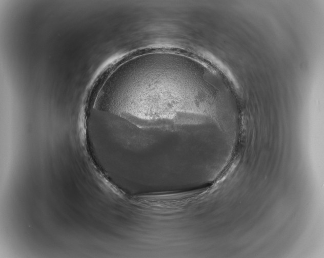 X0000087631408200705101018