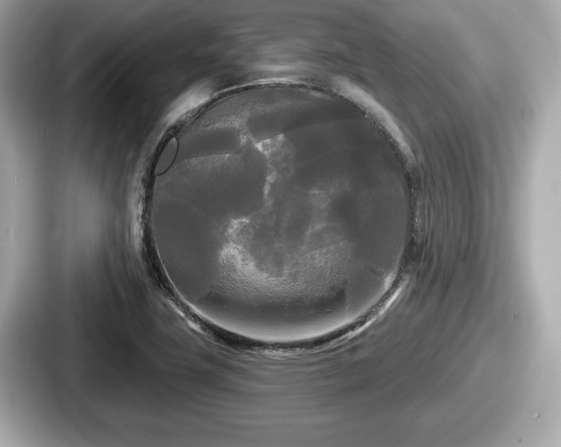 X0000087631411200705101018